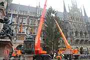 Am Morgen des 14.11.2011 wurde der Christbaum aus Aschau im Zillertal aufgestellt (©Fopto:MartiN Schmitz)